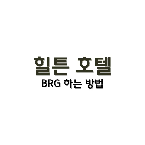 힐튼 BRG