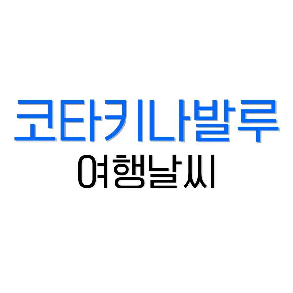 빌리카