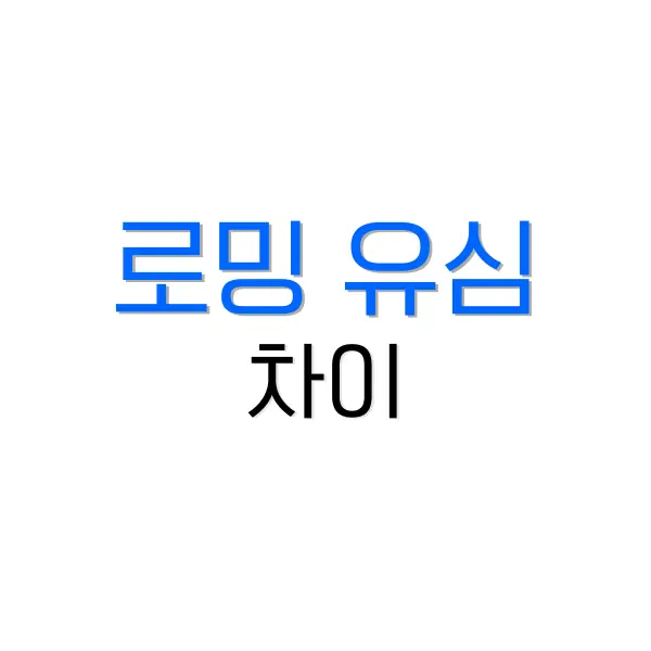 로밍 유심 차이