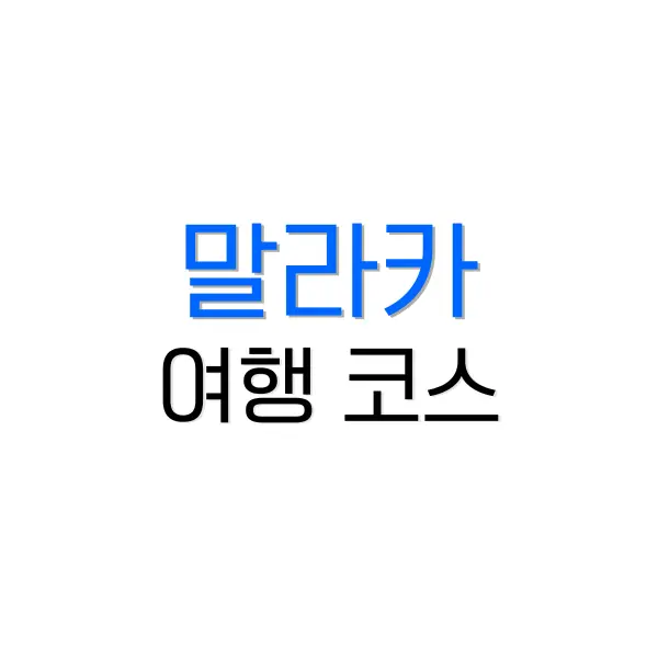 로밍 유심 차이