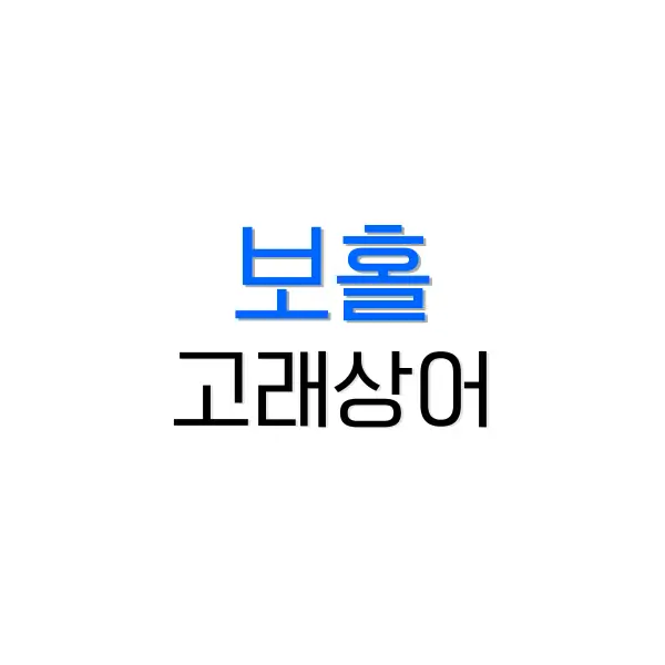보라카이 가는법