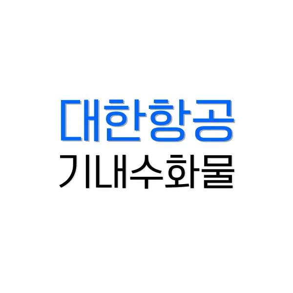 대한항공 일반석 플렉스