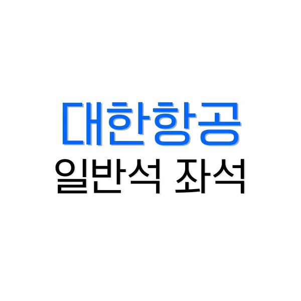 대한항공 일반석 플렉스