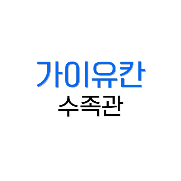 비짓재팬 웹