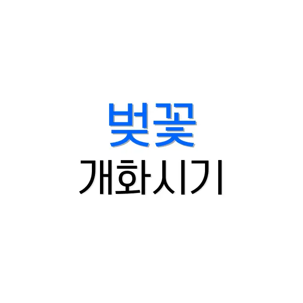 비짓재팬 웹