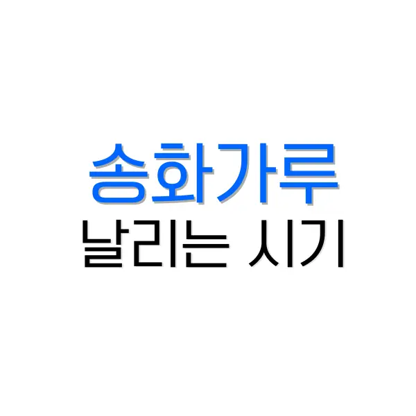 버거킹 할인