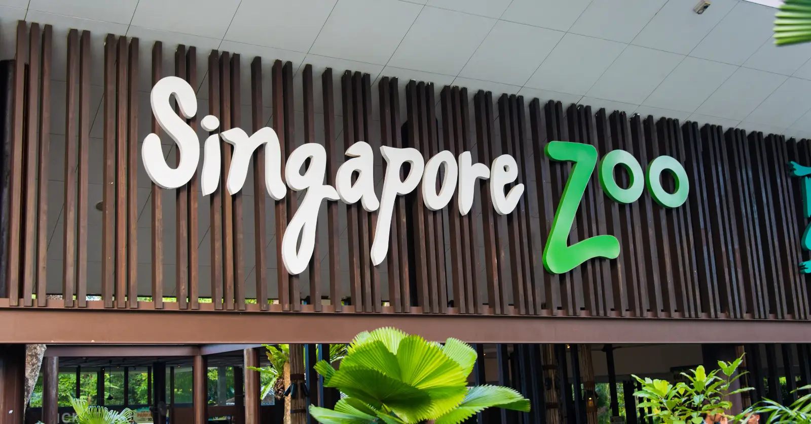 싱가포르여행동물원