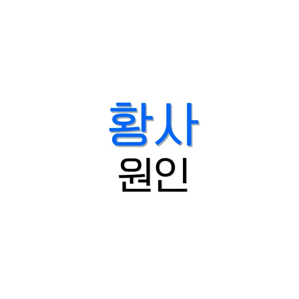 버거킹 할인