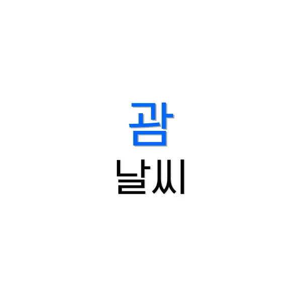 맥도날드 런치