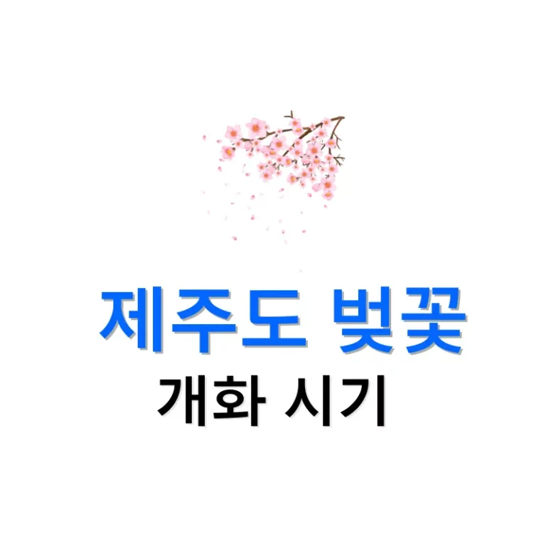 대한항공 기내 와이파이