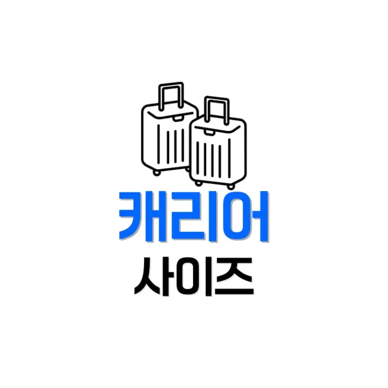 캐리어 사이즈 비교
