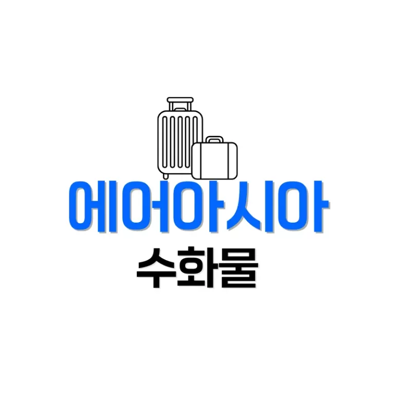 에어아시아수화물