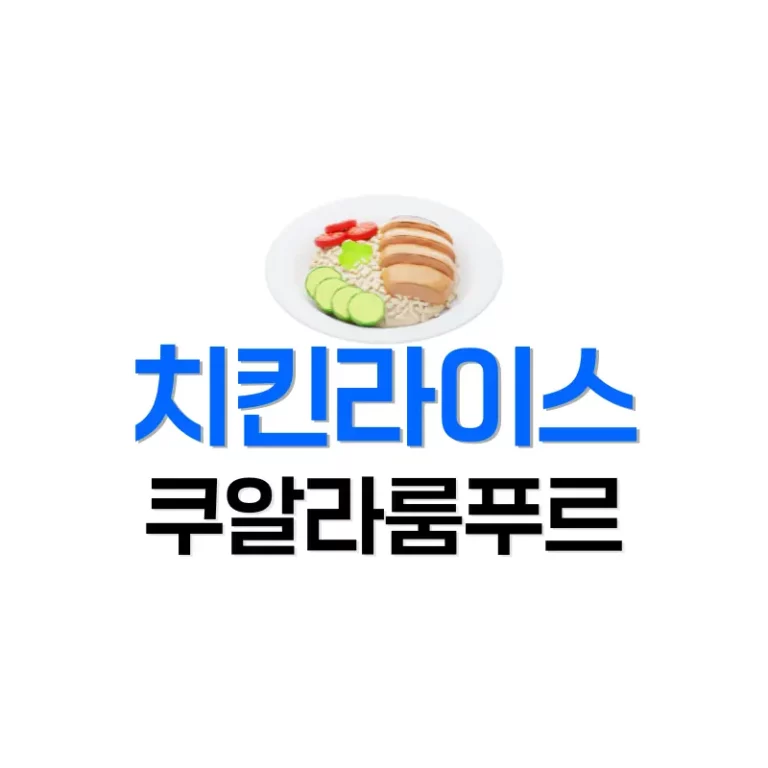 치킨라이스
