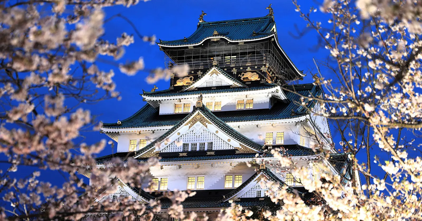 2026년 오사카 주유패스 가격 및 종류 완벽 분석