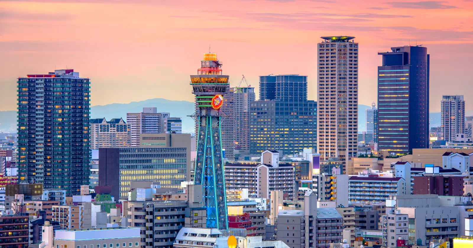 마무리 및 행동 제안