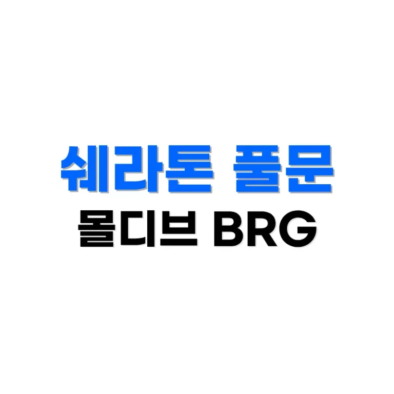 메리어트 BRG 성공 후기, 쉐라톤 몰디브 풀문 5박 1,000불 아낀 찐 경험담 1 쉐라톤풀문BRG